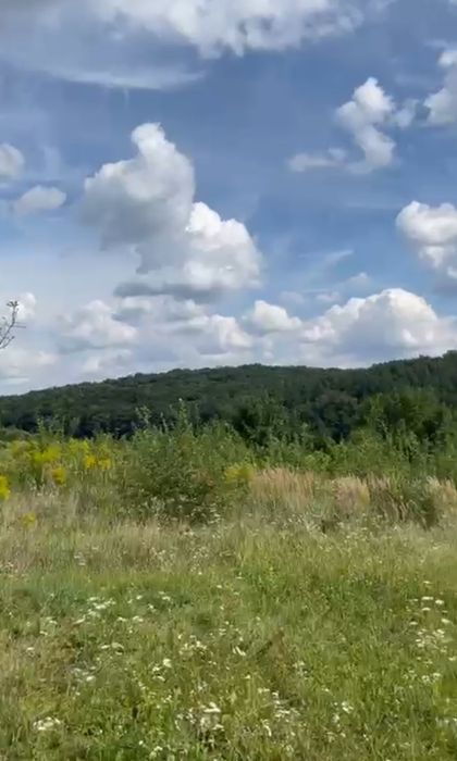 Ділянка 12,5 соток в с. Кугаїв