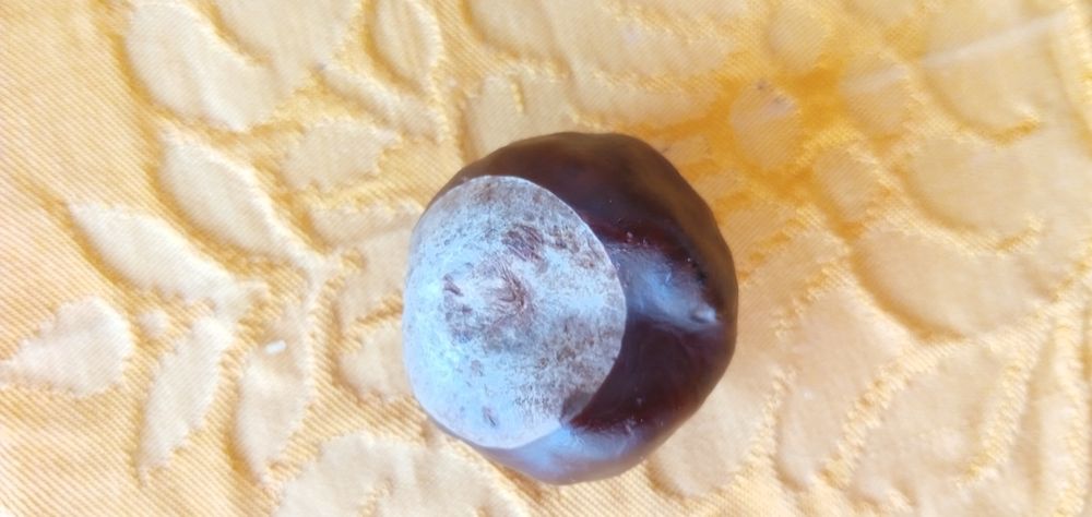 Quer Milagres?Castanha centenária Milagres S.Martinho30E-Saco3EDesde3E