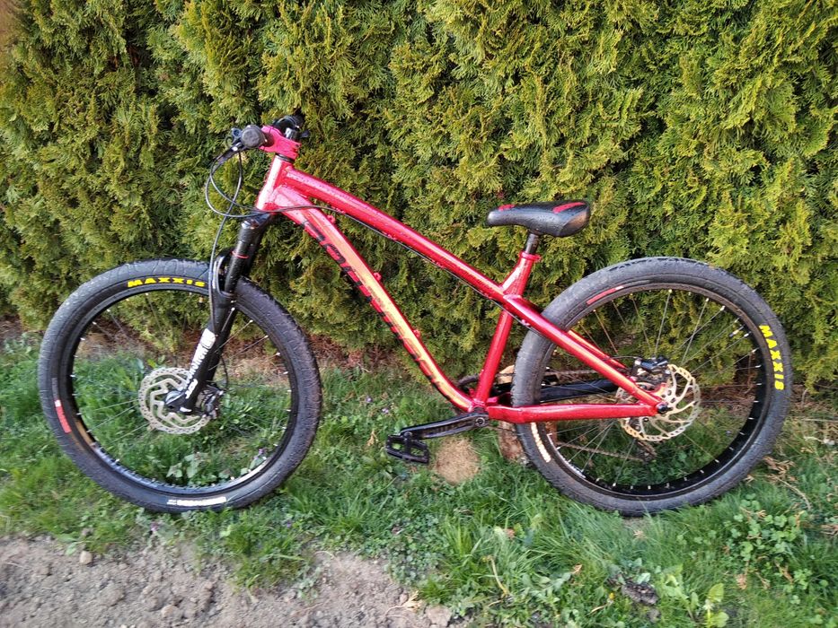 Dartmoor Hornet 2020