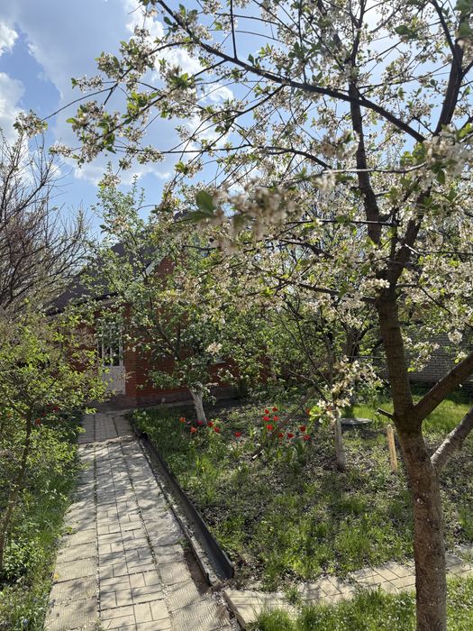 House by the address (area 480 m²) - Atlanta.ua - photo 23