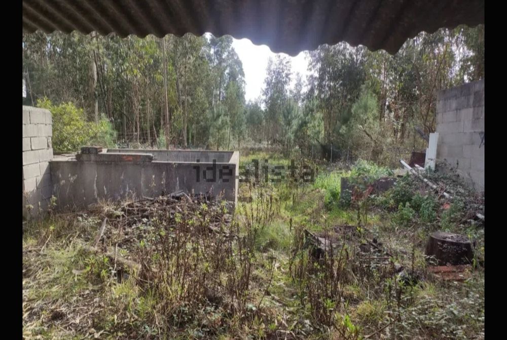 Terreno rústico 1000 mt2