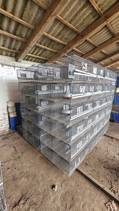 Клітки для кроликів маточні б/у