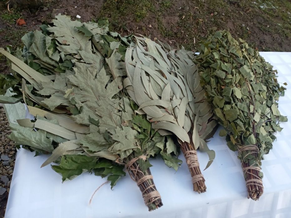 ВІники в баню сауну Дуб Береза Липа Ялина 10/5/50