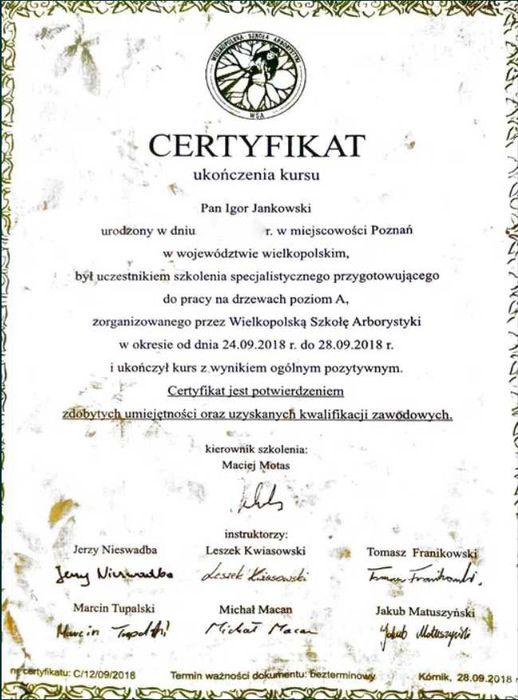 Wycinka i pielęgnacja drzew - Dendrolog - Darmowa konsultacja