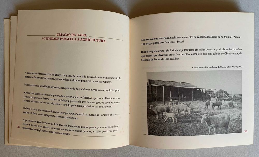 Agricultura e Espaços Rurais no Concelho do Seixal
