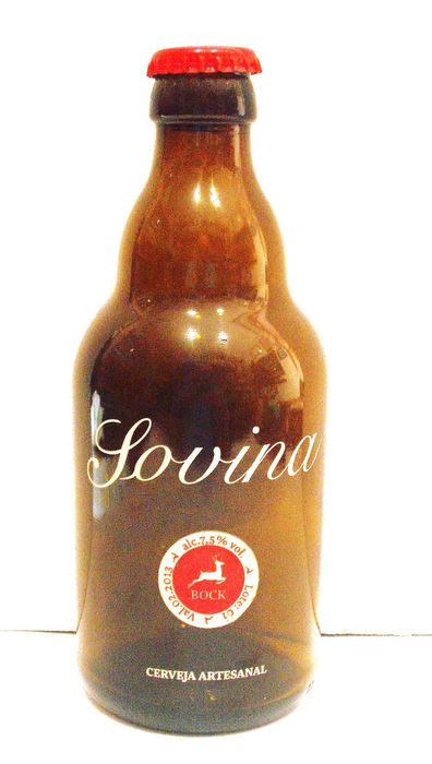 Garrafa antiga da Cerveja  Sovina - Pirogravada