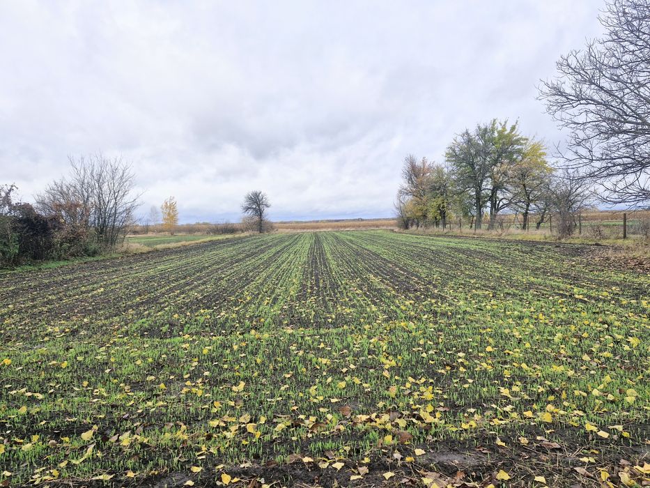 Держпрограми/Продаж будинку у селі Володькова Дівиця, Чернігівська об