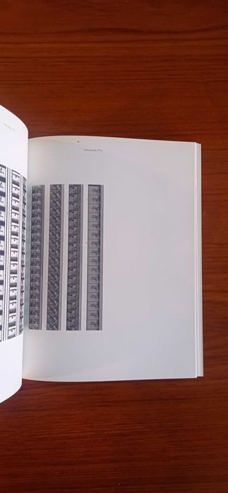 Antonio Manuel, Museu Serralves