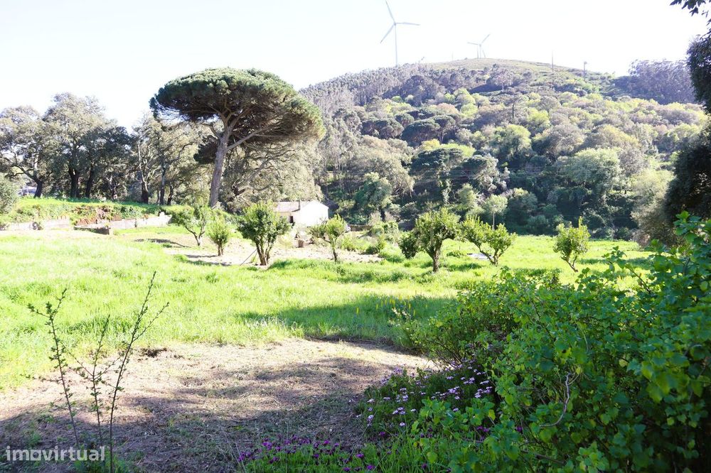 Moradia para renovar em Santo Estevão das Galés inserida num terreno d