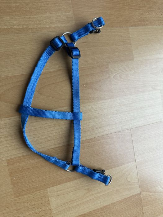 Szelki dla malego psa