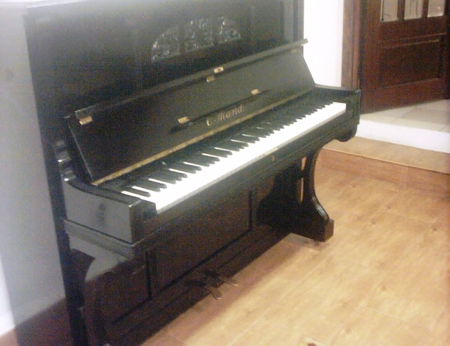 Pianos verticais e de cauda afinador e arranjo