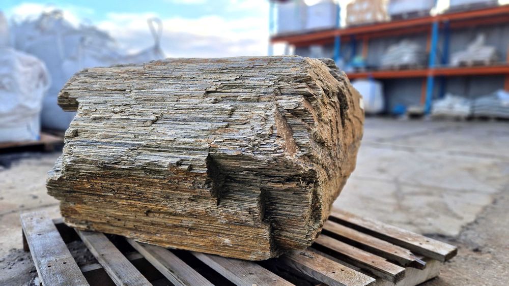 Głaz gnejsowy do ogrodu na skalniak 710 kg duży wybór !