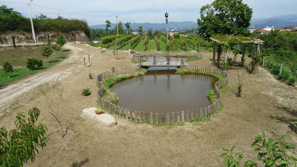 Terreno com 7300 mt Louredo Amarante