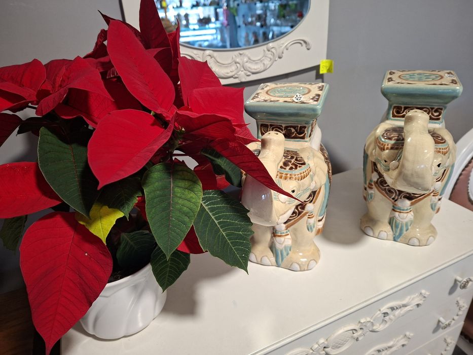 Słoniki porcelanowe -komplet