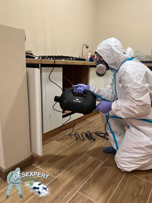 Професійна обробка від комах та гризунів. Виїзд сьогодні! 24/7