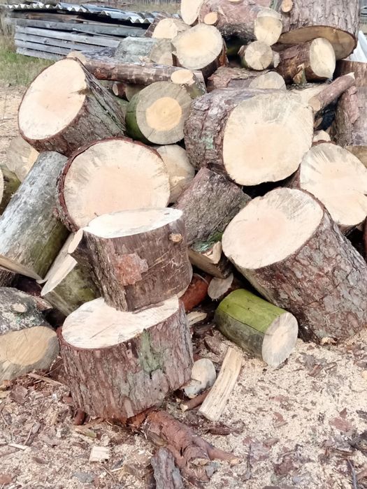 Drewno opałowe sucha sosna w klockach