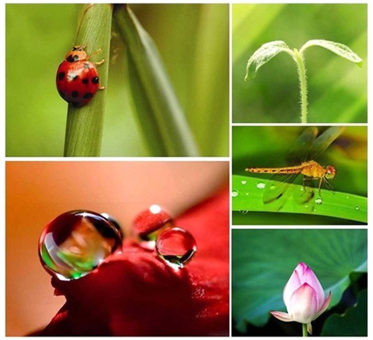 NOWE! Obiektywy do telefonu macro fish eye wide  ZESTAW