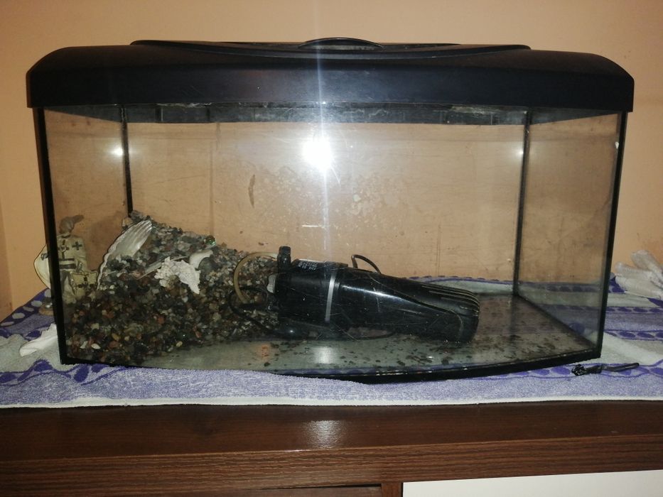 Akwarium  + 3 gratisy