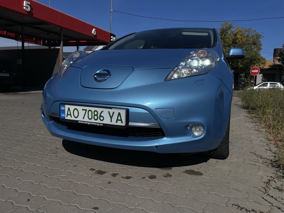 Nisan leaf 2012
