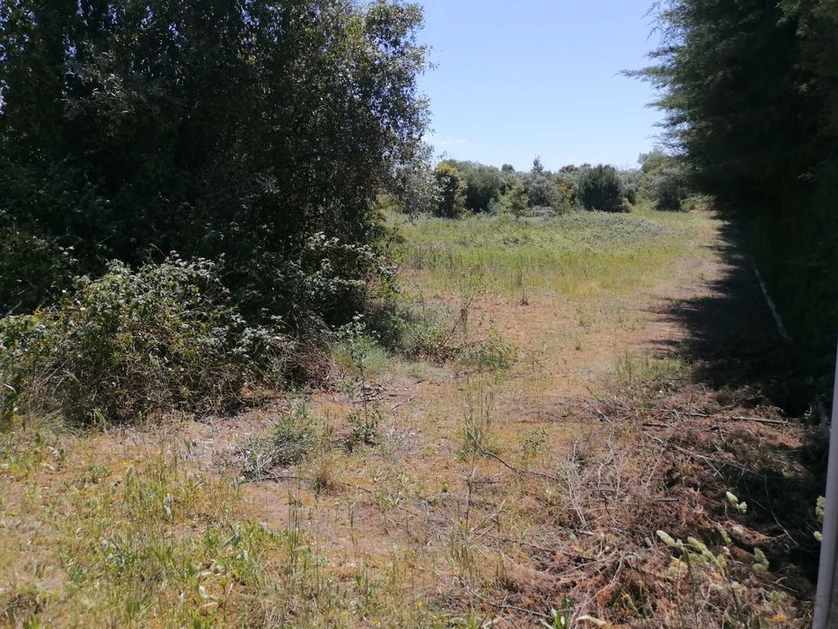 Terreno Rústico 2440m2 com água e luz