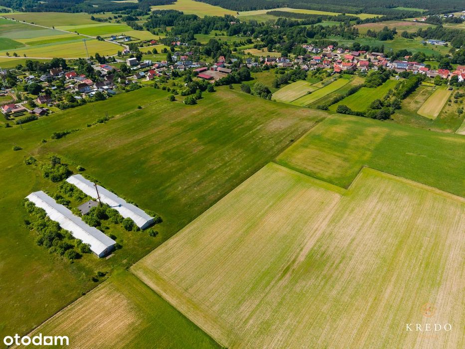 Działka budowlana 1,0036 ha | WZ | Duży potencjał inwest. | Koczała