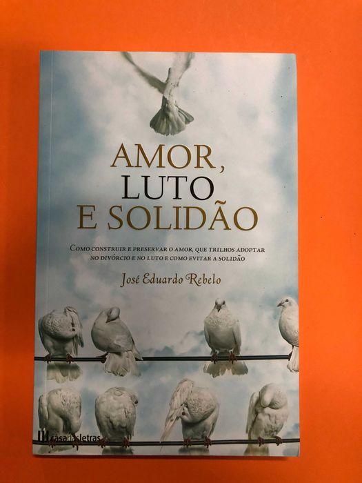 Amor, luto e solidão - José Eduardo Rebelo