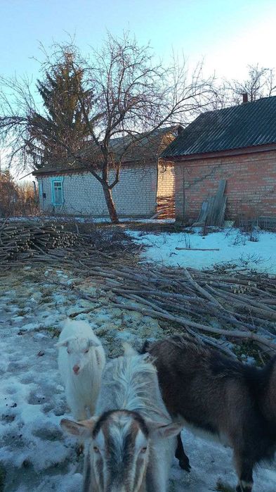 Будинок с. Тернівка, Бершадський р-н