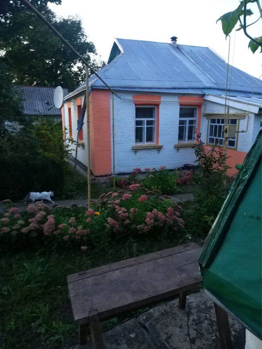Дом в селе Вербовка Будинок в селі Вербівка