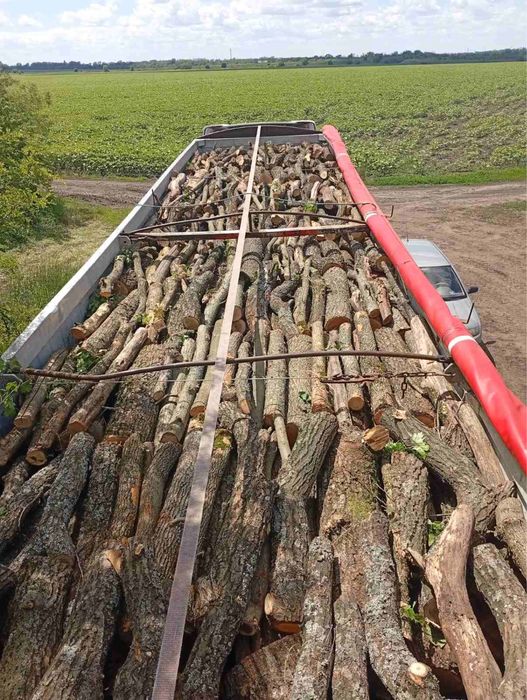 Продам дрова Дуб, Грам . Ясен
