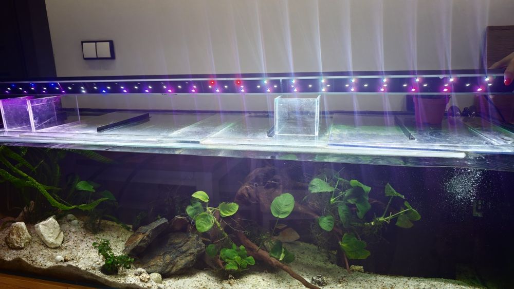 Belka Led RGB 170cm