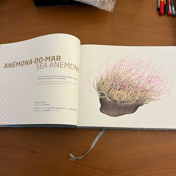 Oceanário de Lisboa - Ilustração dos Oceanos