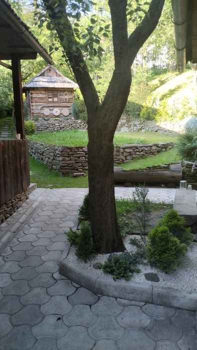 Здається файна хата...