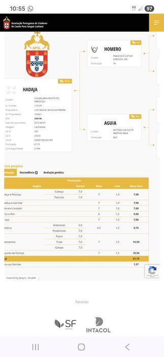 Vendo poldra PSL com 2anos