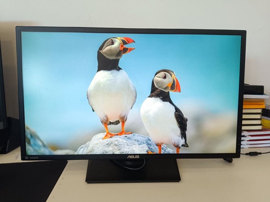 Monitor Gaming ASUS VG245Q