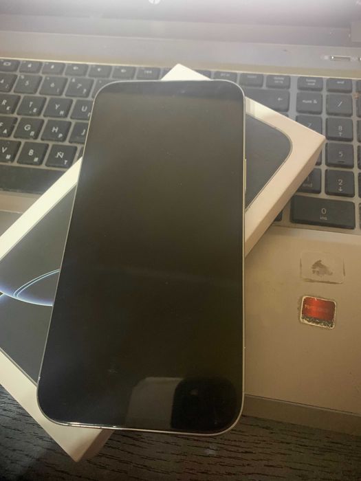 iPhone 16 pro max