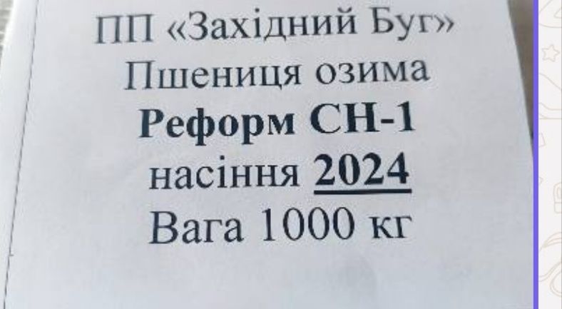 Зерно. Насіннєвий ячмінь, пшениця. Насіння.Овес.
