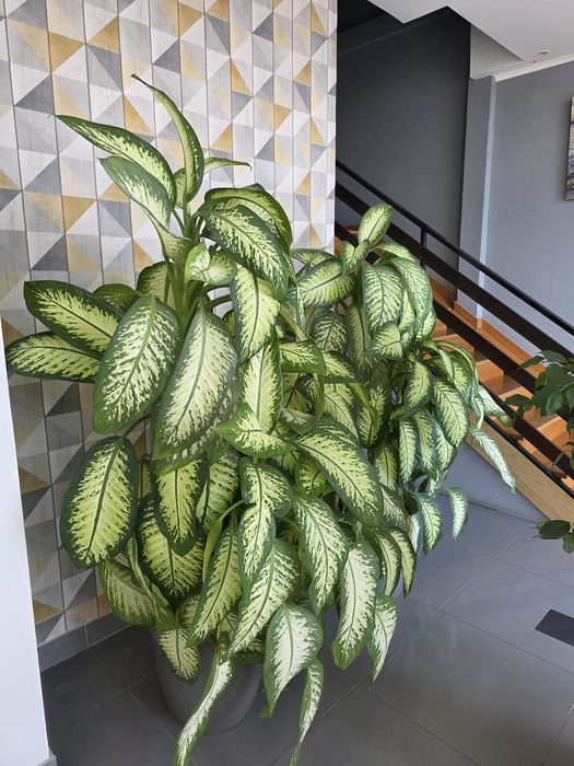 Aluga-se Escritório