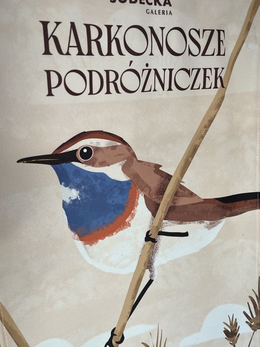 Leżak ogrodowo plażowy