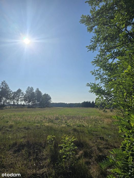 Zdjęcie 7