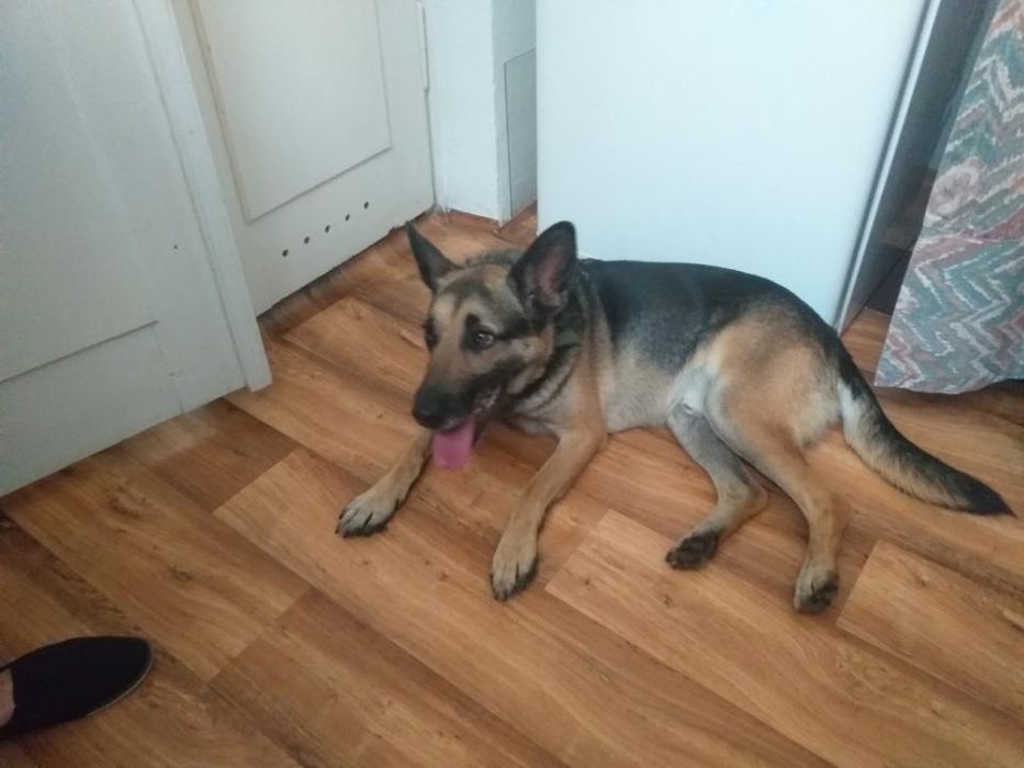 Kto podaruje Wirusowi domek?