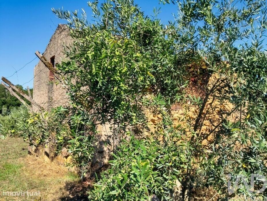 Quinta em Graça