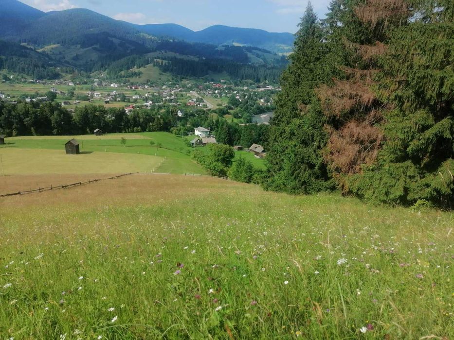 Від власника земельна ділянка під забудову!