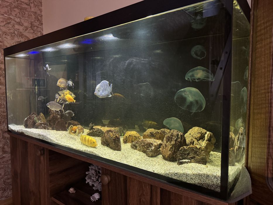 Акваріум 150х50х60 450л