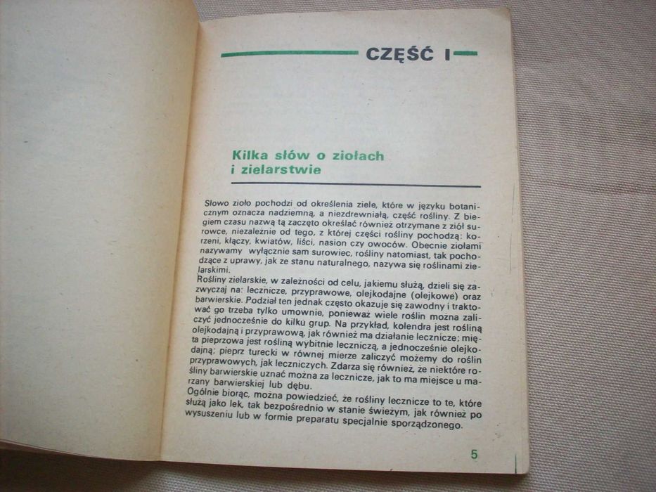 Zioła na działce i w ogródku przydomowym.