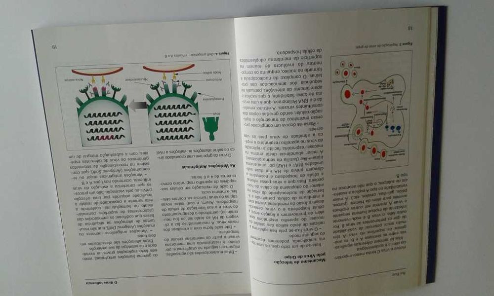BD Capitão América / Guia Gripe