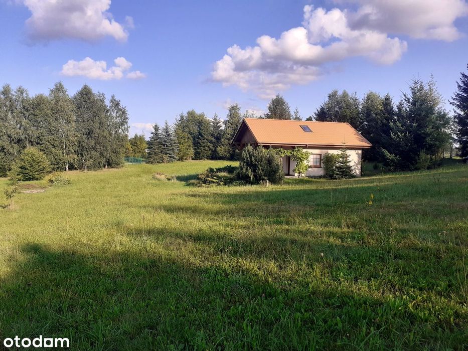 Klimatyczne siedlisko nad jeziorkiem | 25 km od Gdańska | 5700 m² - Widok 5