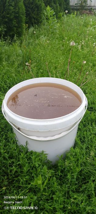 Мед домашній травневий 25 року дзвонити. Телеграм вайбер