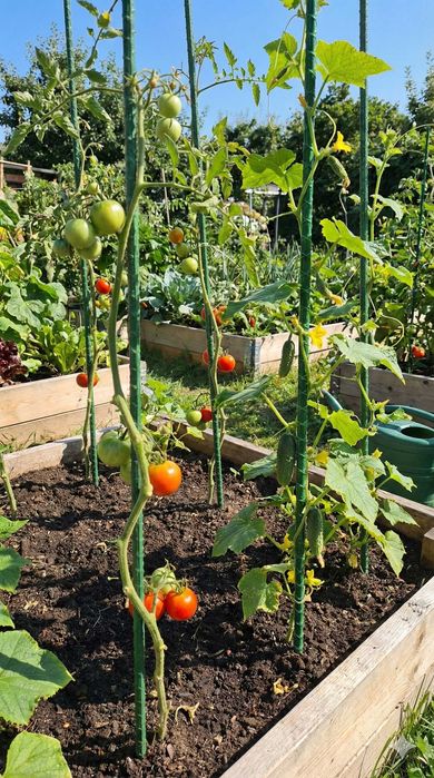 Композитні дуги для парника — легкість, міцність і довговічність