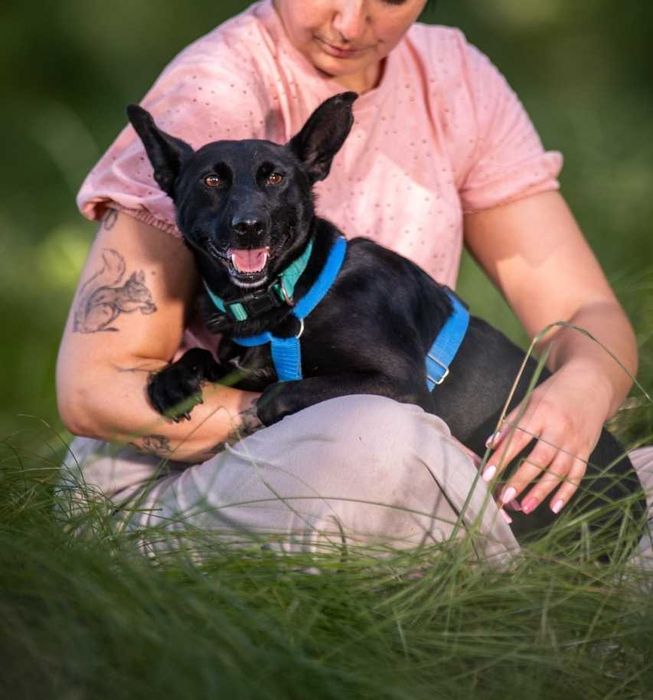 Mała czarna kruszynka marznie w schronisku - uratuj Koko