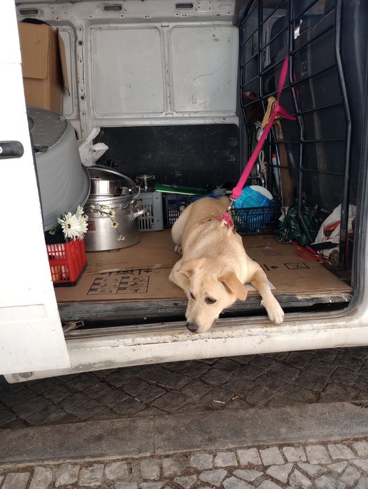 Frete e mudança. Transporte de  motos retirada de entulhos